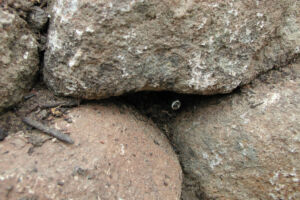 LED Lighting in Rock Wall 2