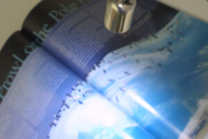 9 Star Cluster LED Light with Stalk